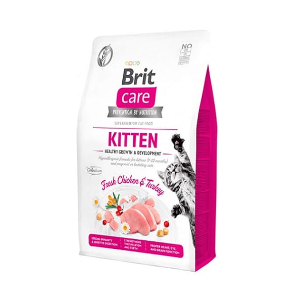 alimento-gato-kitten.jpg