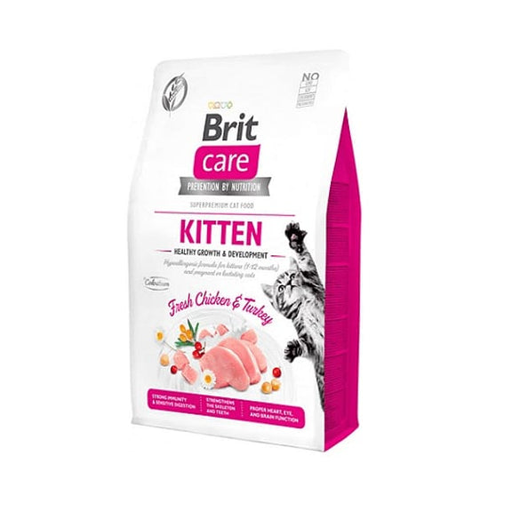 alimento-gato-kitten.jpg